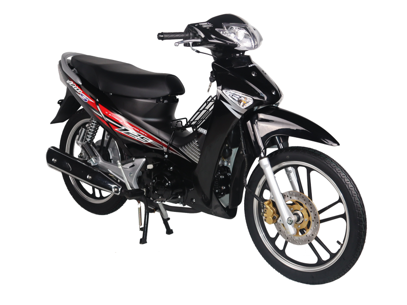 SPINE RIGHT FRONT_1608907612.png